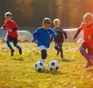 袋鼠体育赛,事直播,万博体育,万博体育平台,万博体育官方网站,万博体育登录入口,万博体育app下载