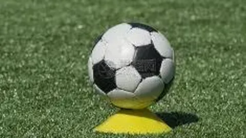 万博体育 产品 083057 092