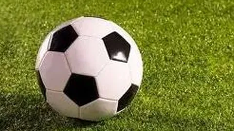 万博体育 资讯 083055 mm8