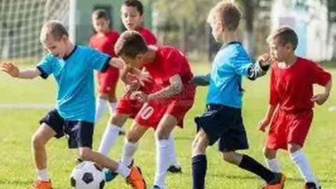 农业绿色转型助力碳标签应用