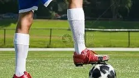 中国生态旅游（01371.HK）子公司洛图中标多省体彩终端机项目