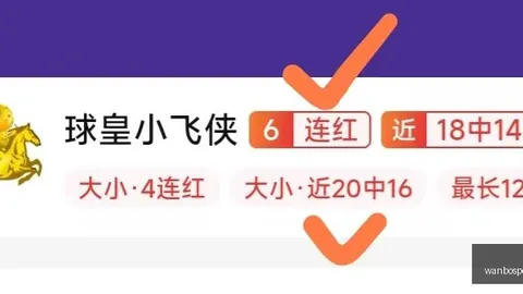 万博体育万博体育官网新动作落地引发关注